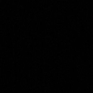 Meet your Posher, Sheila